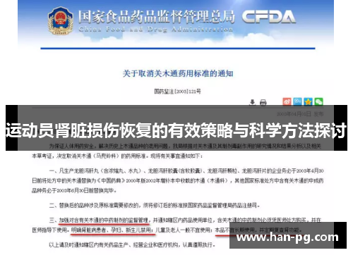 运动员肾脏损伤恢复的有效策略与科学方法探讨